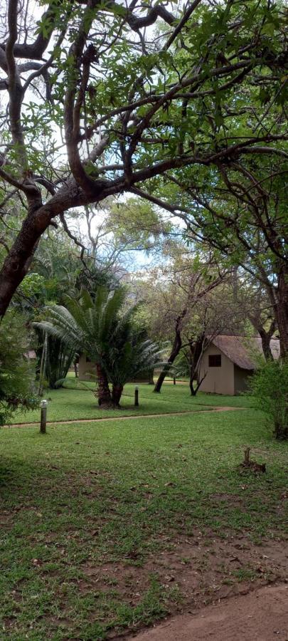 Villa Shumba Safari Bush Camp Hoedspruit Exterior foto